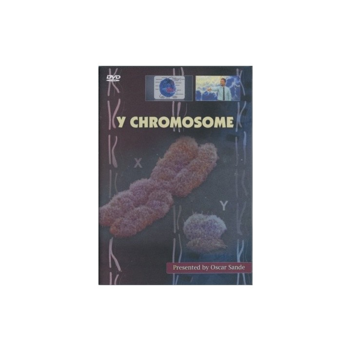 Y Chromosome