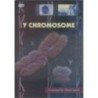 Y Chromosome