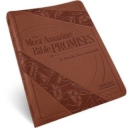 The Most Amazing Bible promises