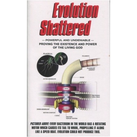 Evolution Shattered