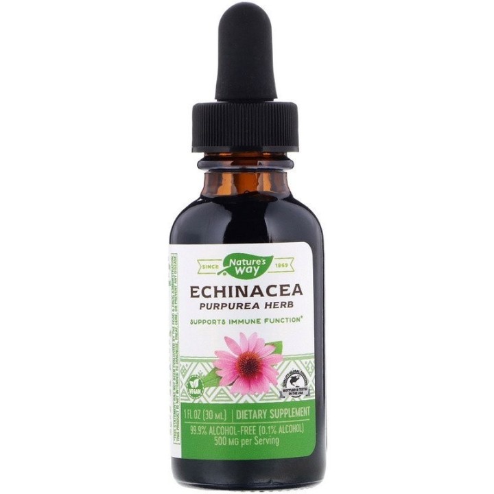 Nature's Way Echinacea 99.9% Alcohol Free 30ml
