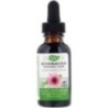Nature's Way Echinacea 99.9% Alcohol Free 30ml