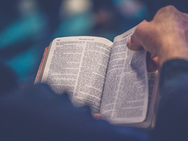 Image of someone reading a Bible