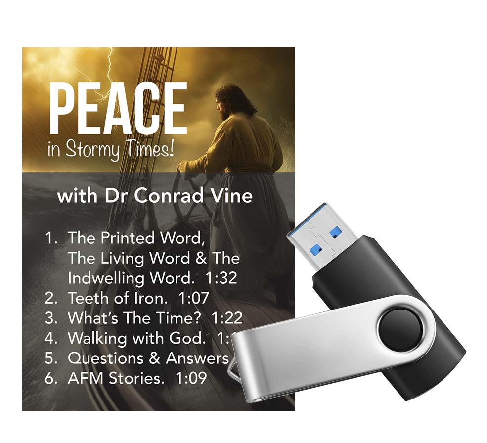 Peace in Stormy Times - USB