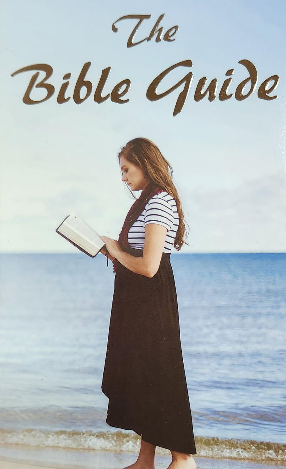 The Bible Guide