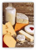 #4 - Udderly Amazing