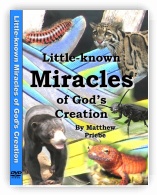 Little-Known Miracles of Gods Creation 