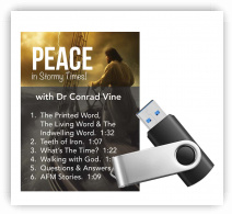 Peace in Stormy Times - USB