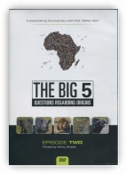 The Big 5 - Henry Stober