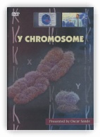 Y Chromosome