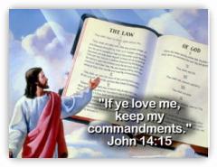 God's Final Call #20 DVD The Final Confrontation